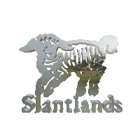 Slantlands Logo